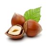 Nocciolo